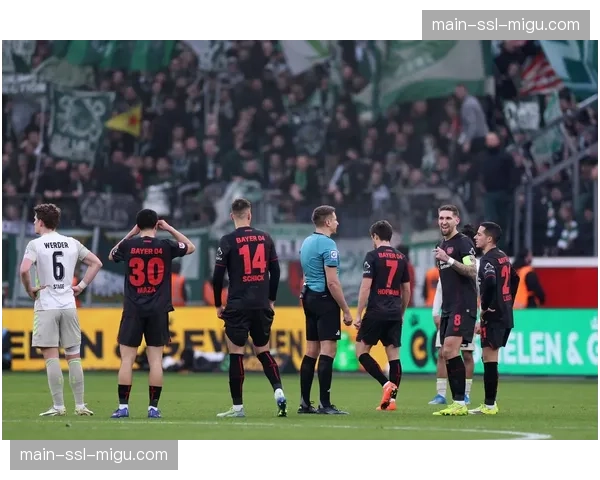 特写：沙尔克04老将如何带领年轻队友在德乙为升级而战